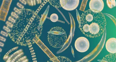 万级微生物实验室设计装修是怎样的